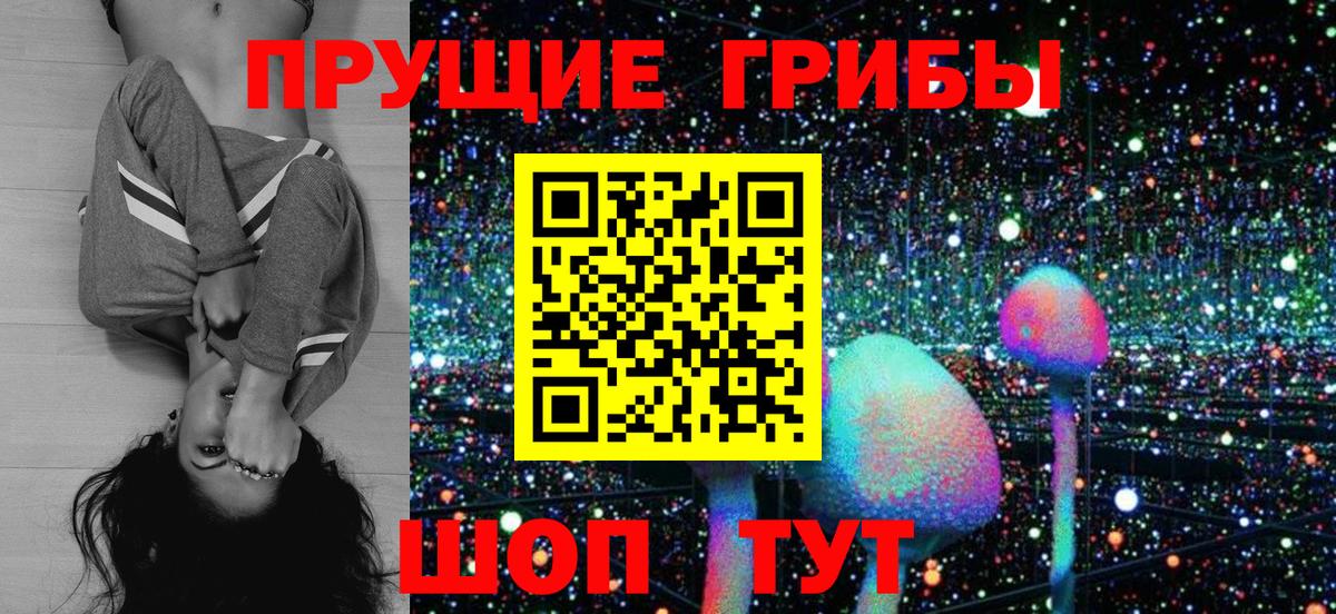 Ликино-Дулёво  хочу   Вход с VPN  Галлюциногенные грибы Psilocybe 